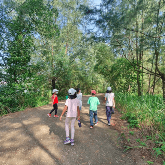 Explore Local Hiking Trails for Family Adventures