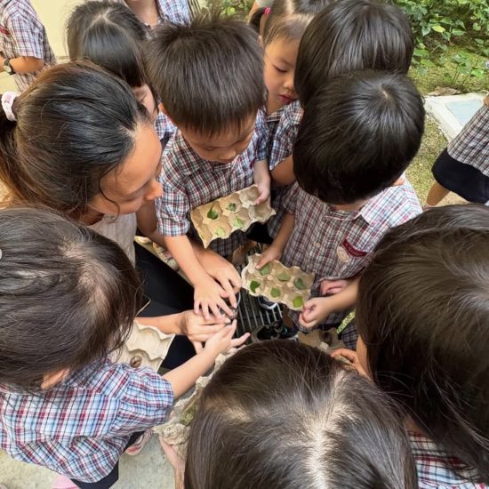 Why Outdoor Nature and Sports Programmes Matter for Preschools in Singapore