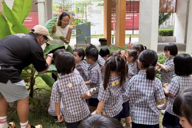 Preschool Neighbourhood Nature Walk