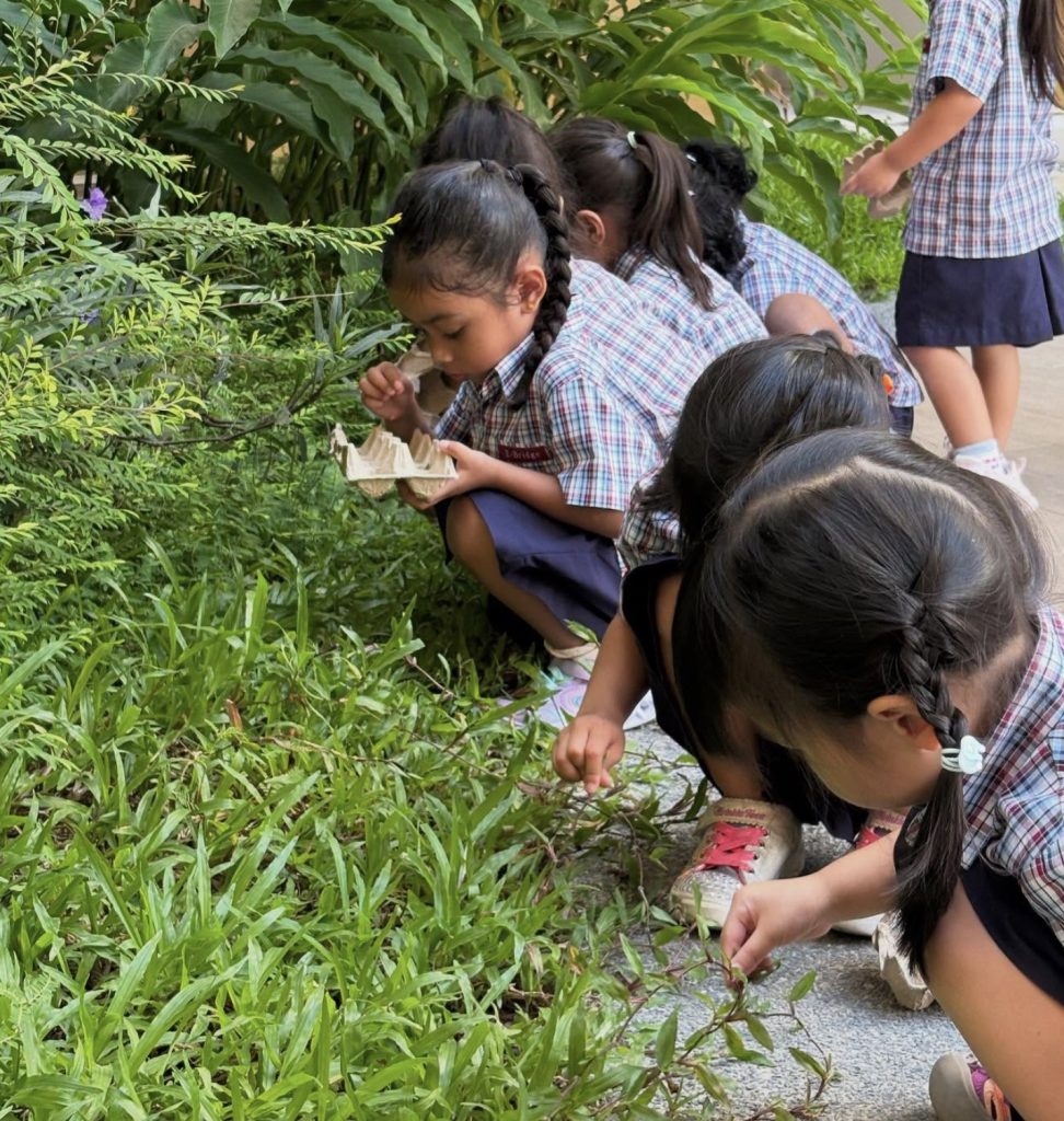 Outdoor nature excursions SG