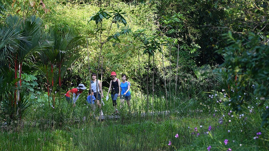 Families exploring a nature trail in Singapore, highlighting children's engagement with wildlife and greenery